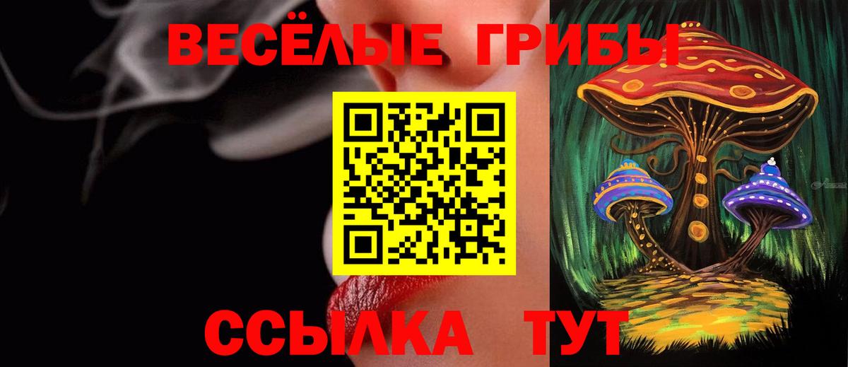 Галлюциногенные грибы мицелий Боровичи